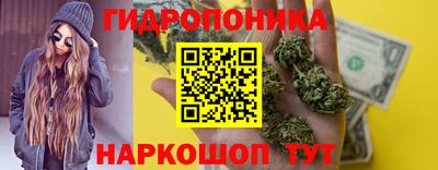 метадон Гай