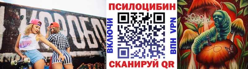 купить наркоту Муравленко сайты даркнета как зайти Галлюциногенные грибы Magic Shrooms