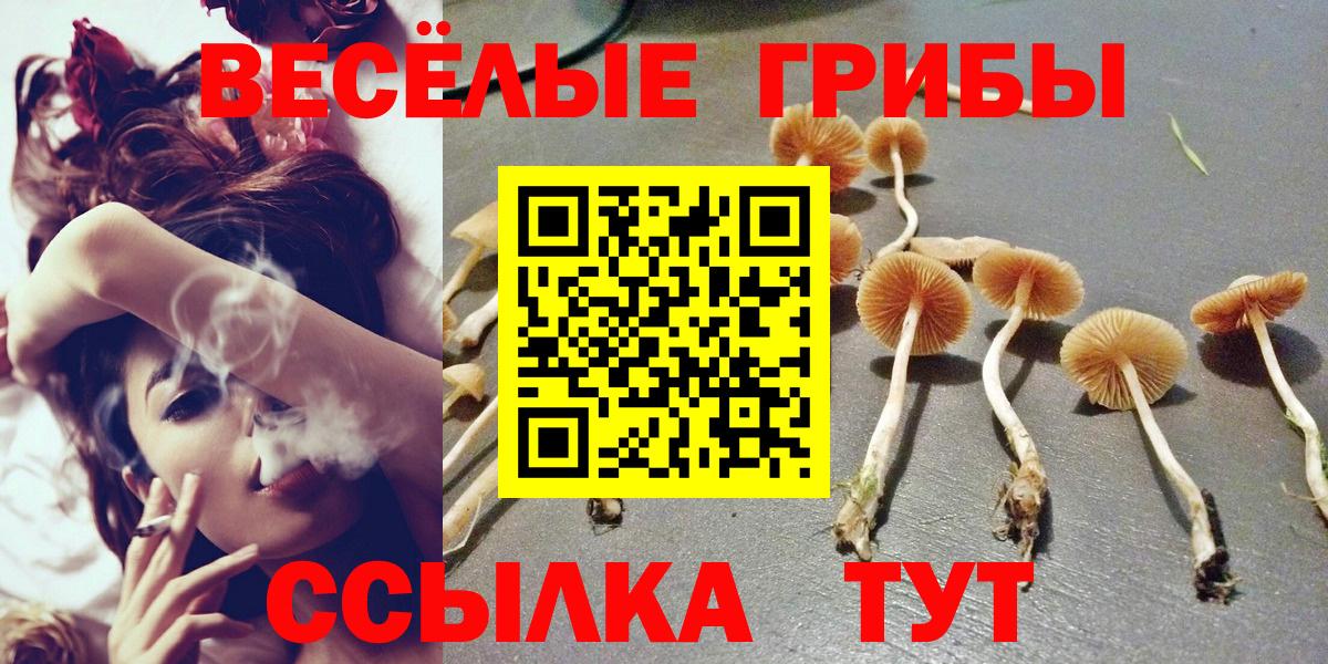 Муравленко  Галлюциногенные грибы MAGIC MUSHROOMS  Вход с VPN  Псилоцибиновые грибы ЛСД 