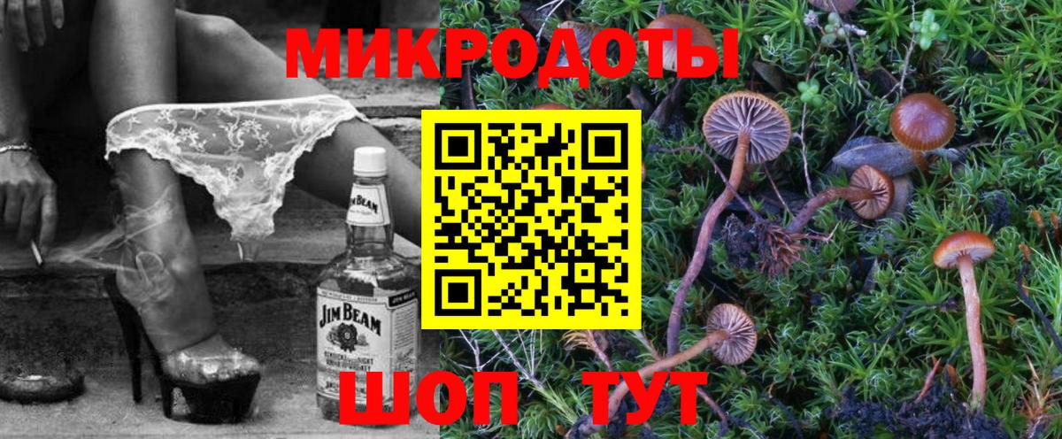 Псилоцибиновые грибы мицелий Муравленко